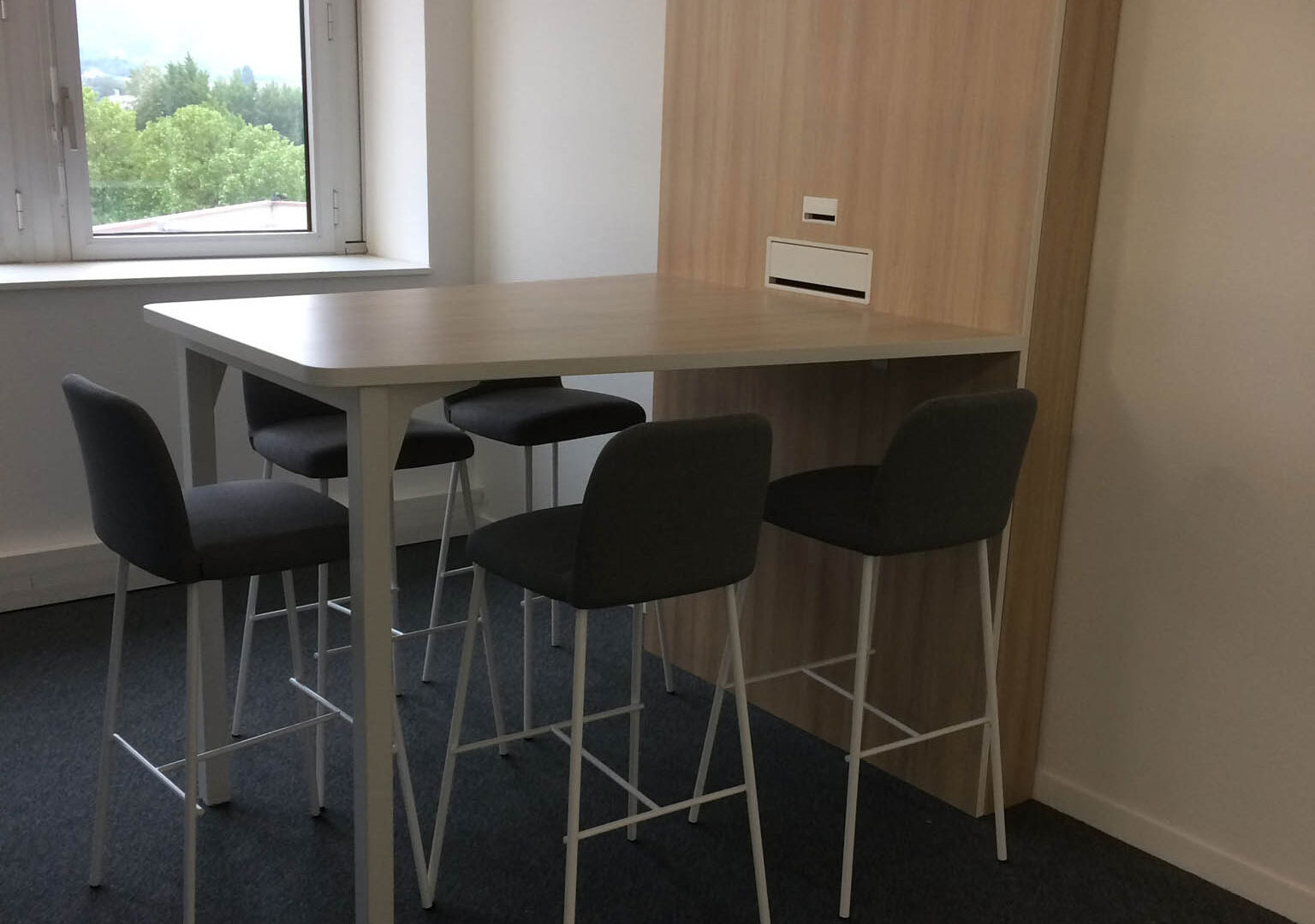 Réalisation Foncière des Dauphins près de Grenoble en Isère 4