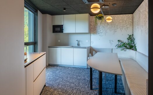 MONTANA – Immeuble de bureaux neufs à Seyssinet-Pariset en Isère