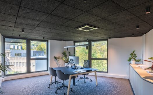 MONTANA – Immeuble de bureaux neufs à Seyssinet-Pariset en Isère