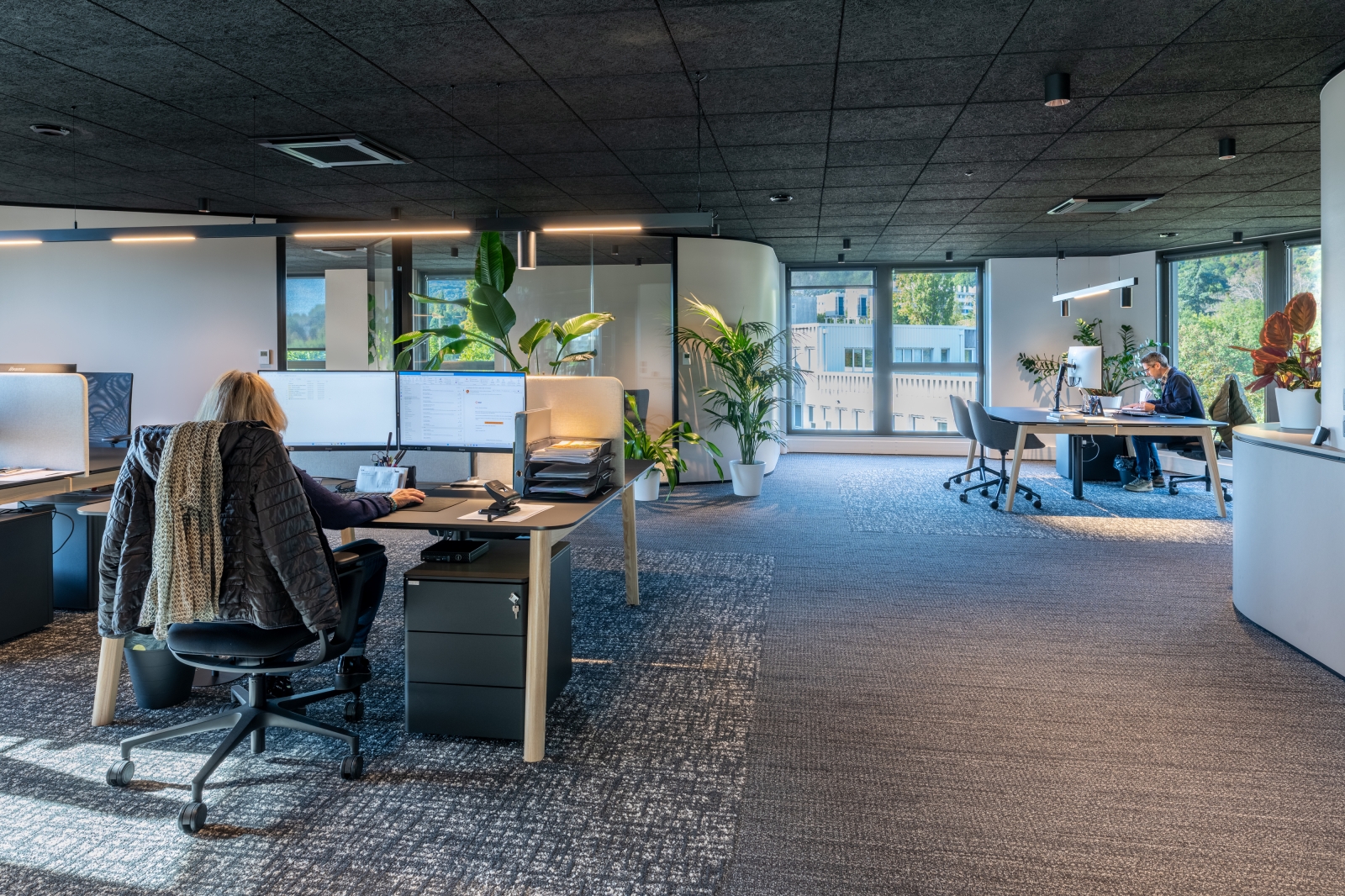 Montana Seyssinet Pariset 35 web