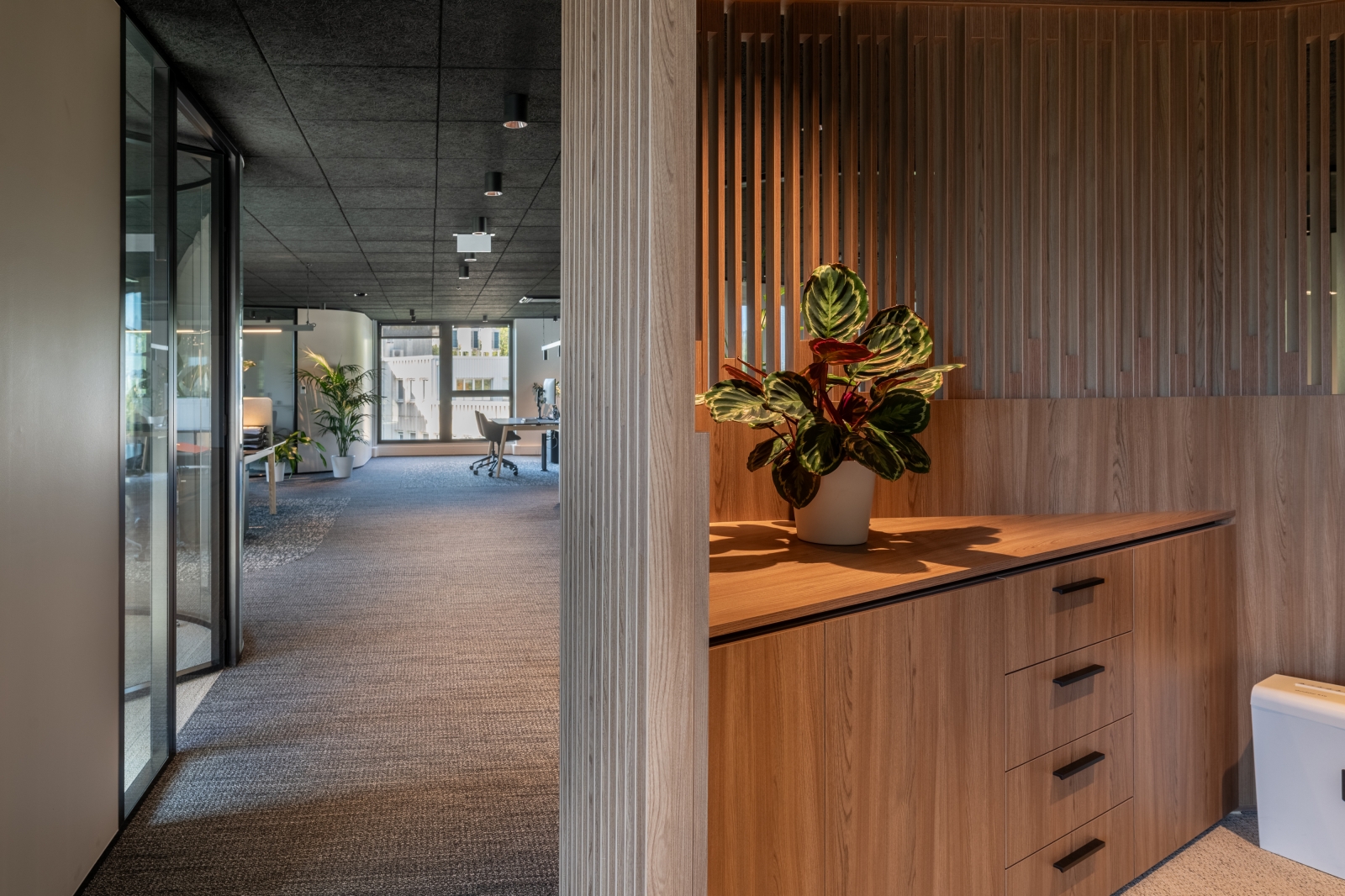 Montana Seyssinet Pariset 44 web