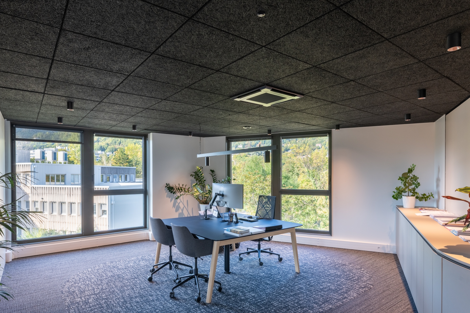 Montana Seyssinet Pariset 45 web